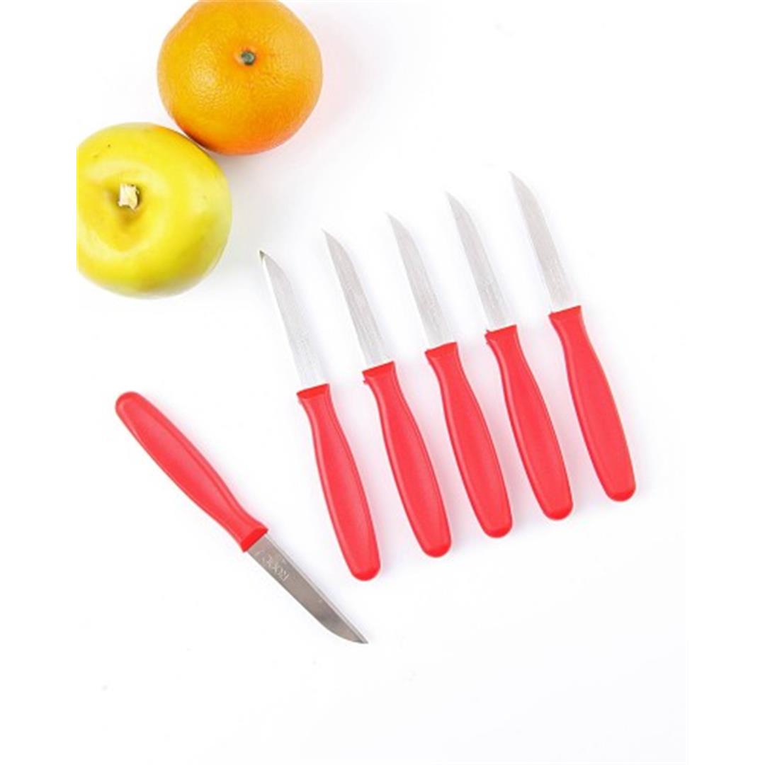 Plastik Saplı 6 Lı Meyve Bıçağı