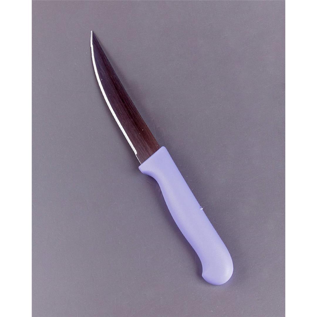 Plastik Saplı Renkli Bıçak